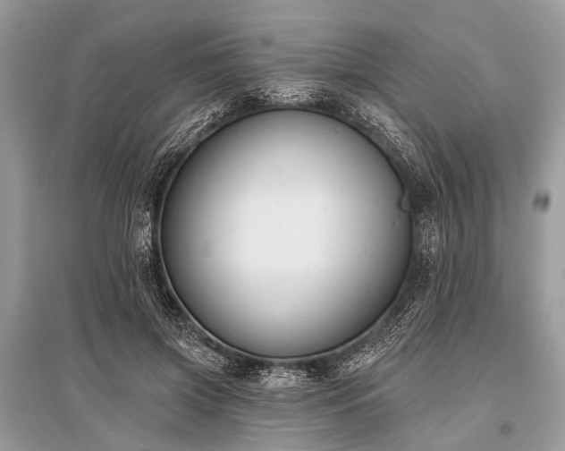 X0000096130549200801251019