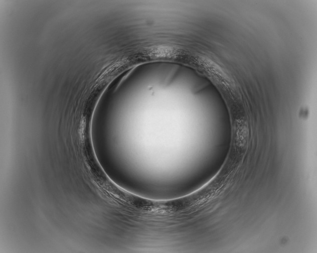 X0000096130550200801251019