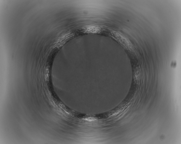 X0000096130551200801251019