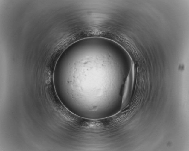 X0000096130555200801251019