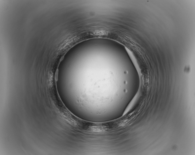 X0000096130556200801251019