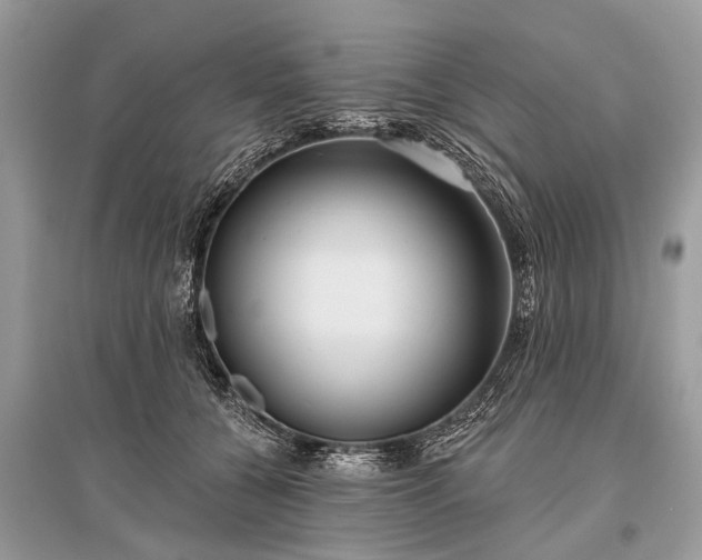 X0000096130560200801251019