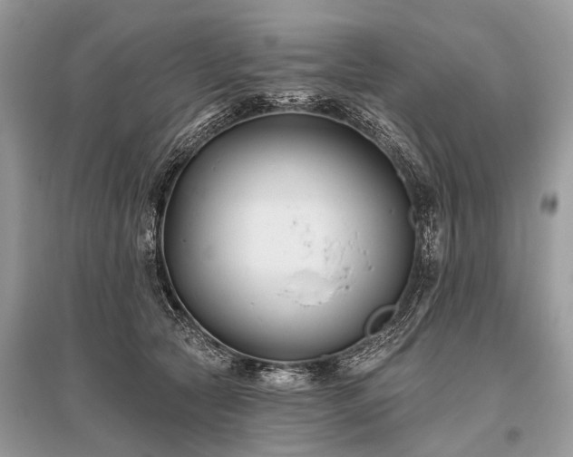 X0000096130561200801251019