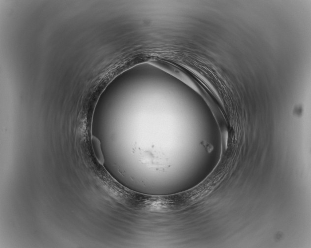 X0000096130564200801251020