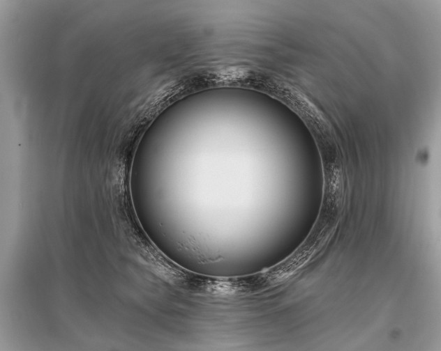 X0000096130565200801251020