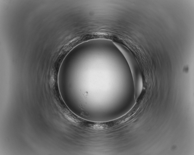 X0000096130566200801251020