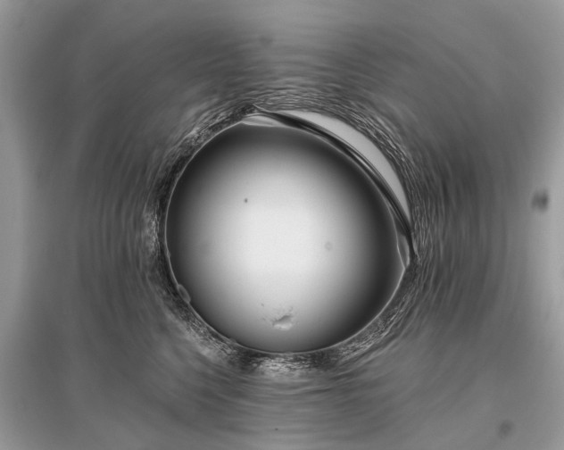 X0000096130568200801251020