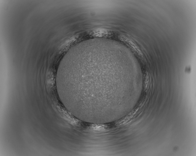 X0000096130569200801251020