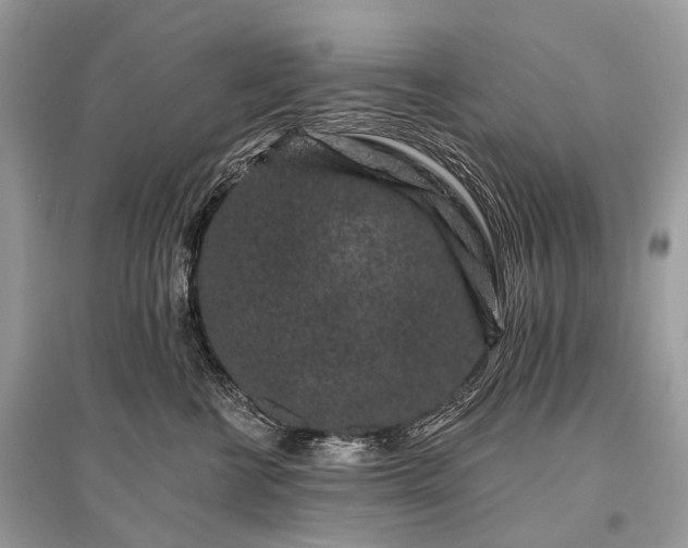 X0000096130570200801251020