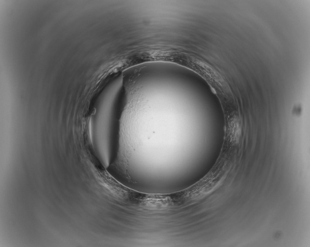 X0000096130571200801251020