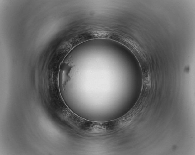 X0000096130572200801251020