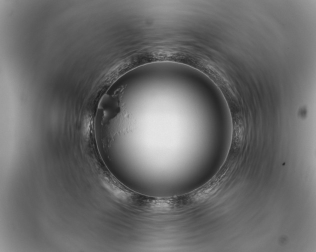 X0000096130574200801251020