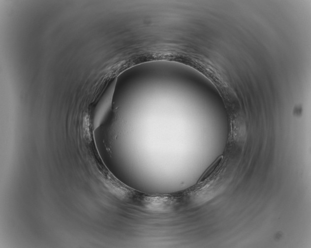 X0000096130575200801251020