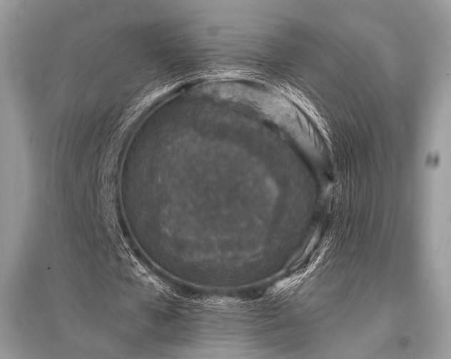 X0000096130577200801251019