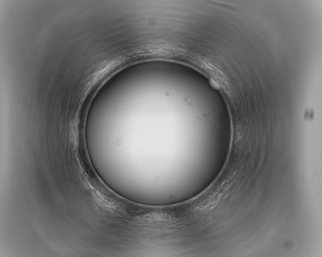 X0000096130578200801251019
