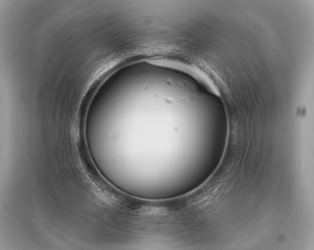 X0000096130582200801251019