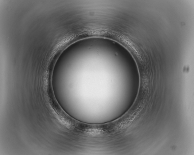 X0000096130586200801251019