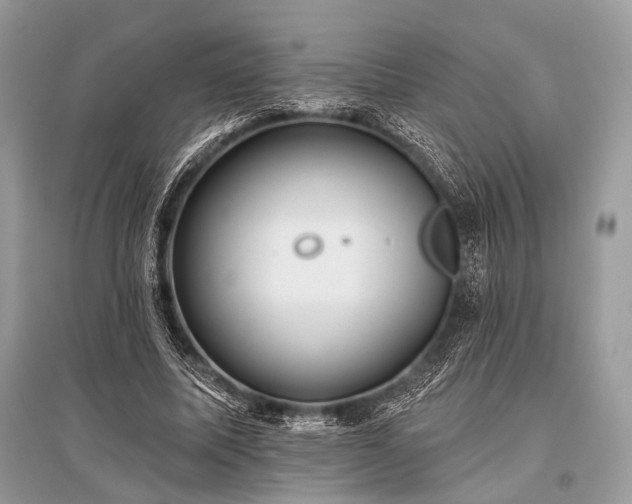 X0000096130587200801251019