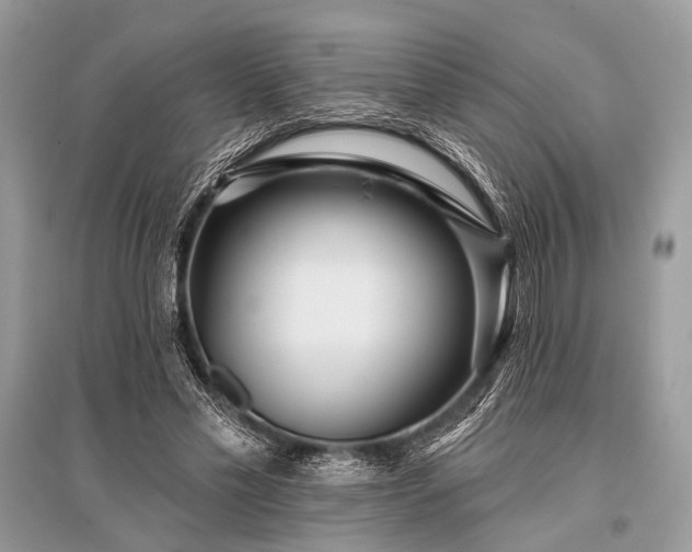 X0000096130589200801251019
