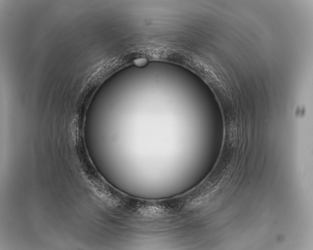 X0000096130594200801251019