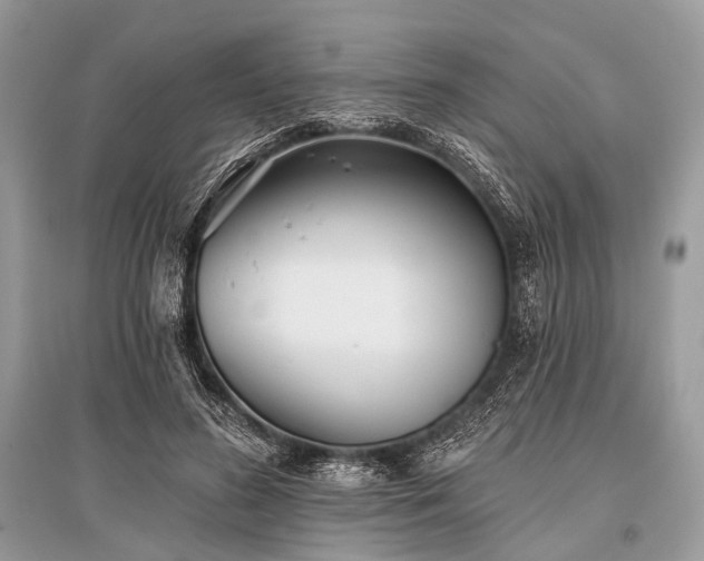 X0000096130596200801251019