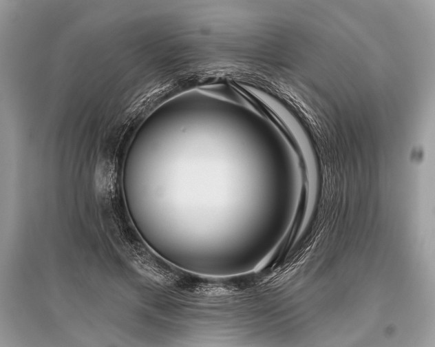 X0000096130597200801251019