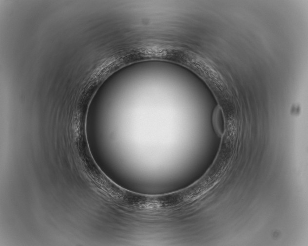 X0000096130600200801251019