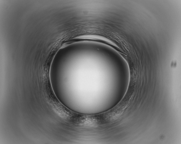 X0000096130601200801251019