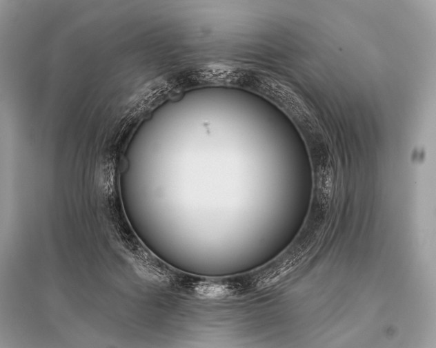 X0000096130602200801251019