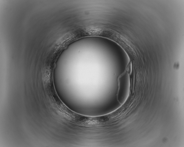 X0000096130604200801251019