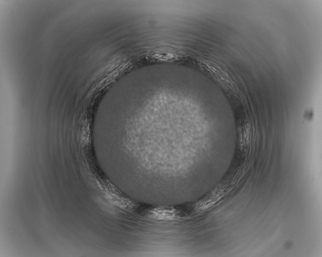 X0000096130606200801251019