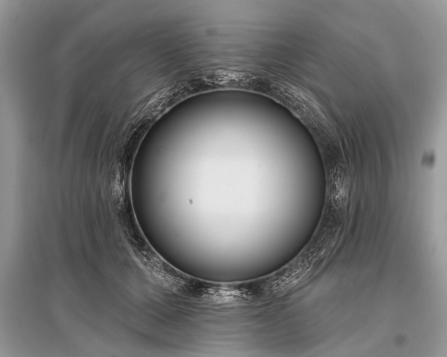 X0000096130607200801251019