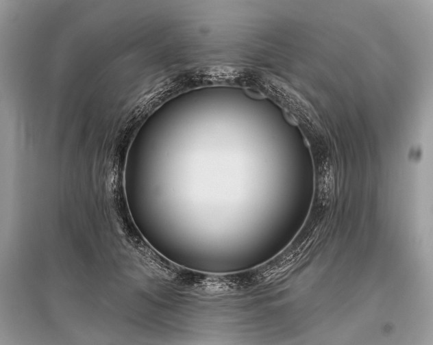 X0000096130608200801251019
