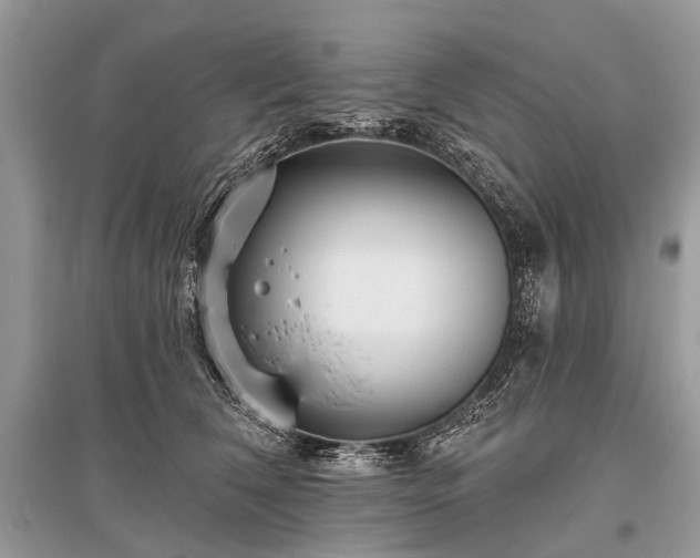 X0000096130612200801251019