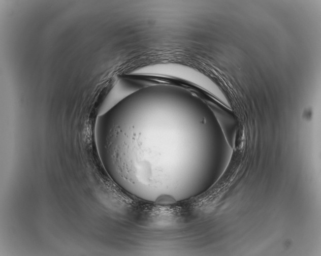 X0000096130613200801251019