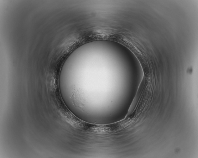 X0000096130615200801251019