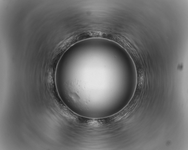 X0000096130616200801251019