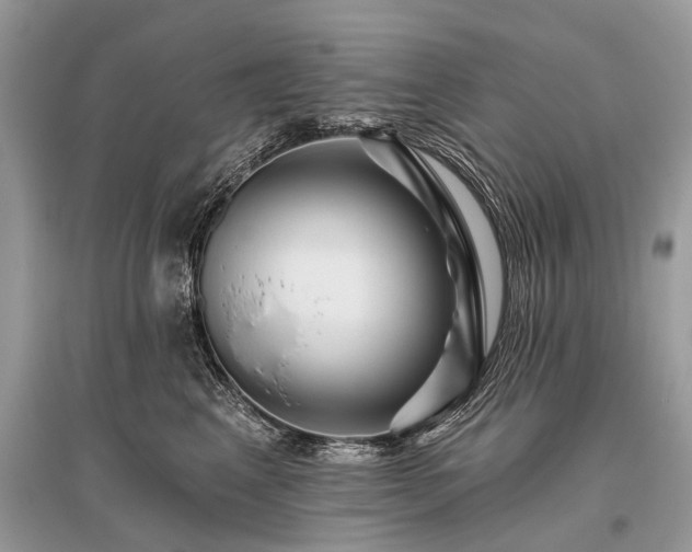 X0000096130617200801251018