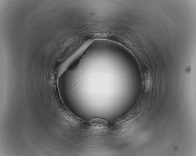 X0000096130619200801251018