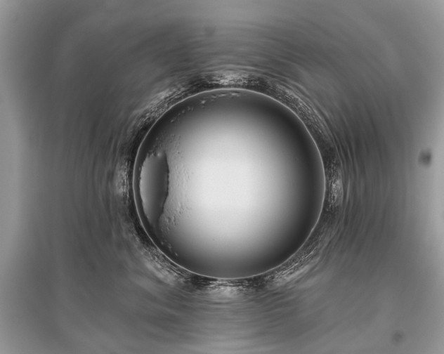 X0000096130620200801251018