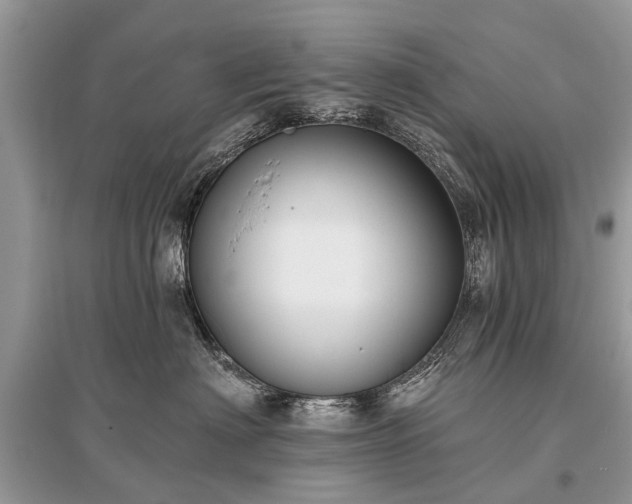 X0000096130622200801251018
