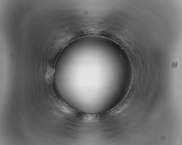 X0000096130624200801251018
