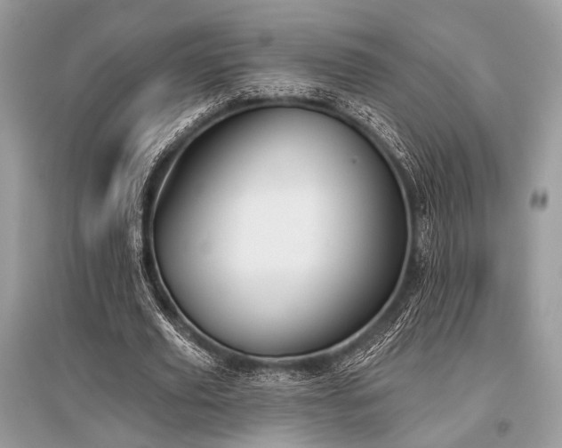 X0000096130629200801251018