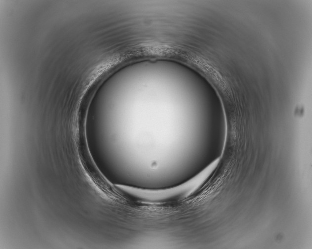 X0000096130630200801251018