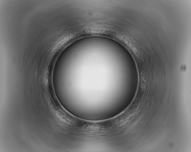 X0000096130631200801251018