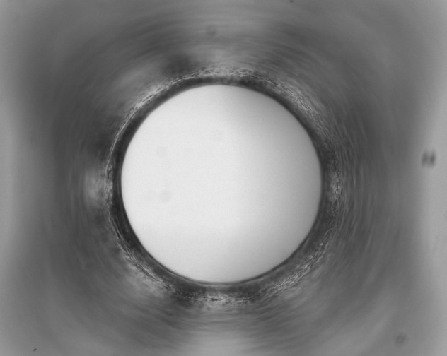 X0000096130632200801251018