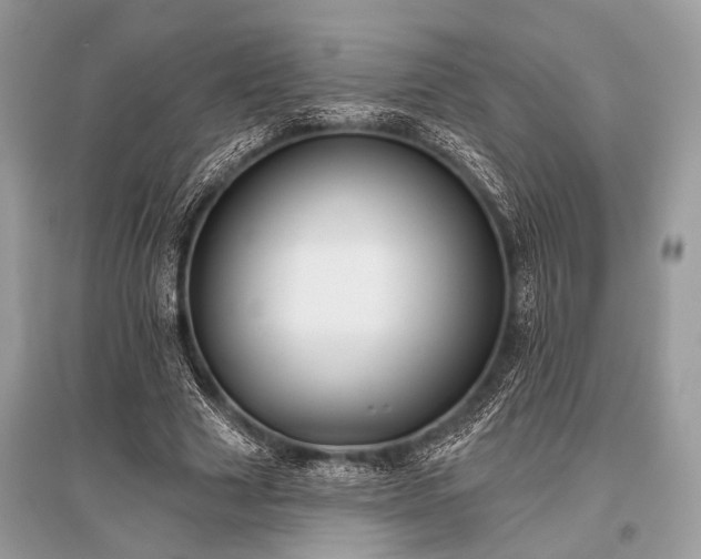 X0000096130633200801251018