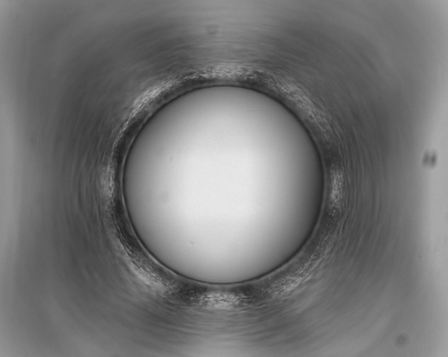 X0000096130636200801251018
