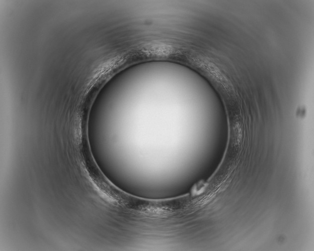 X0000096130638200801251018