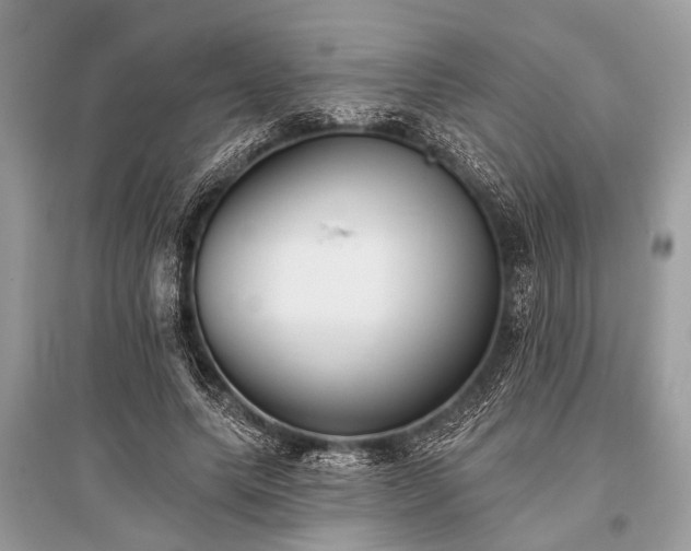 X0000096130639200801251018